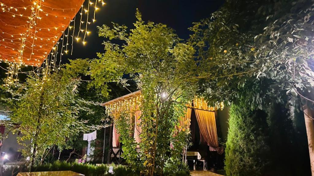 Green House Eco Hotel Samarkand Eksteriør bilde